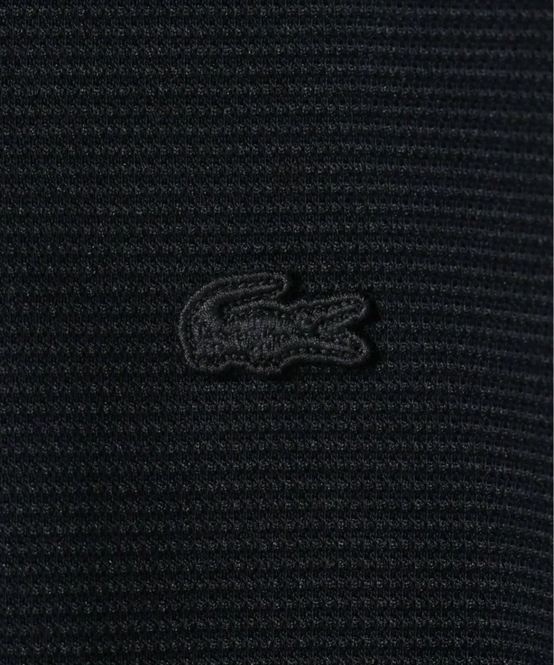 EDIFICE × LACOSTE 2026 SS 別注 ニット Tシャツが5月中旬 発売 (エディフィス ラコステ)