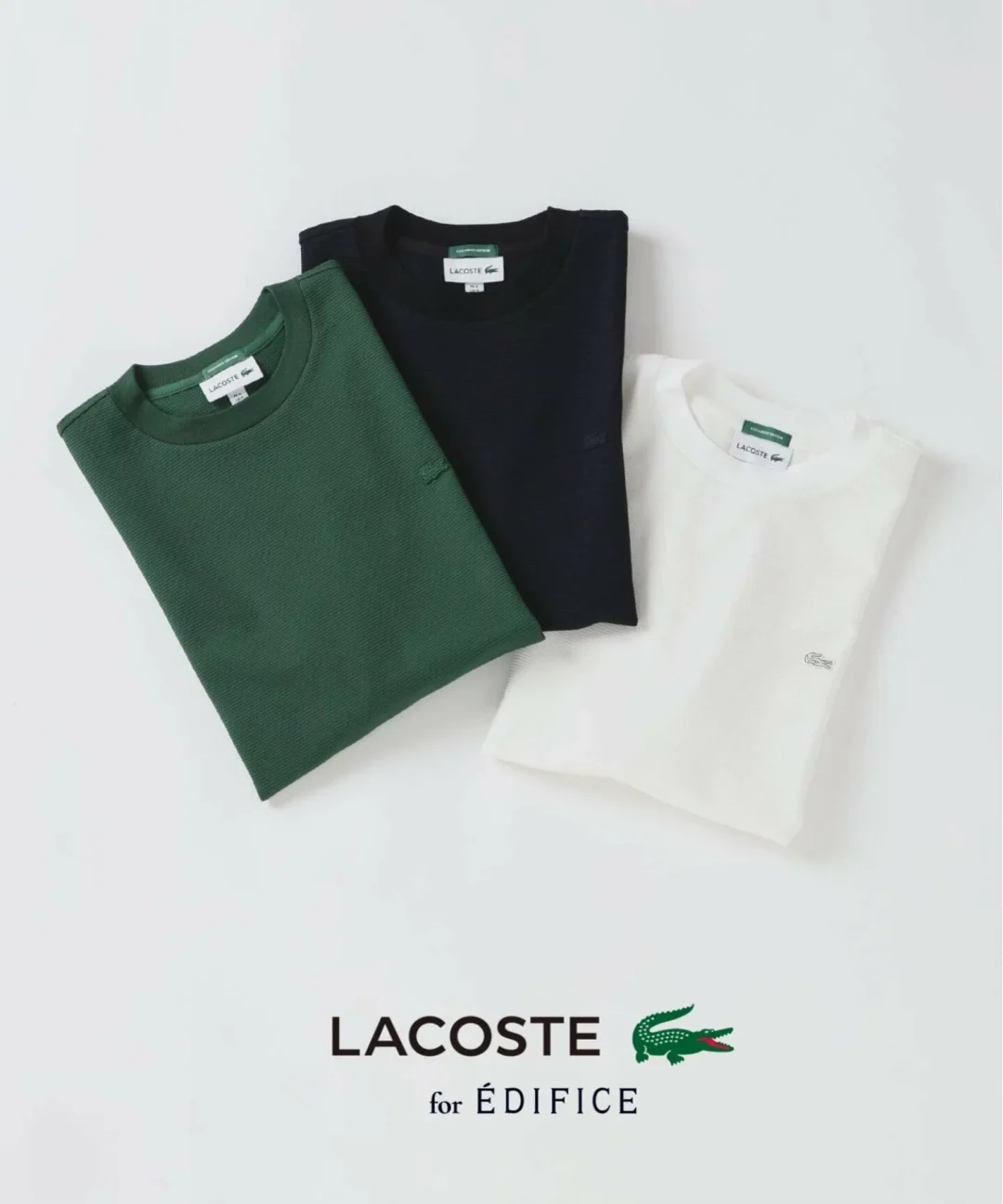 EDIFICE × LACOSTE 2026 SS 別注 ニット Tシャツが5月中旬 発売 (エディフィス ラコステ)