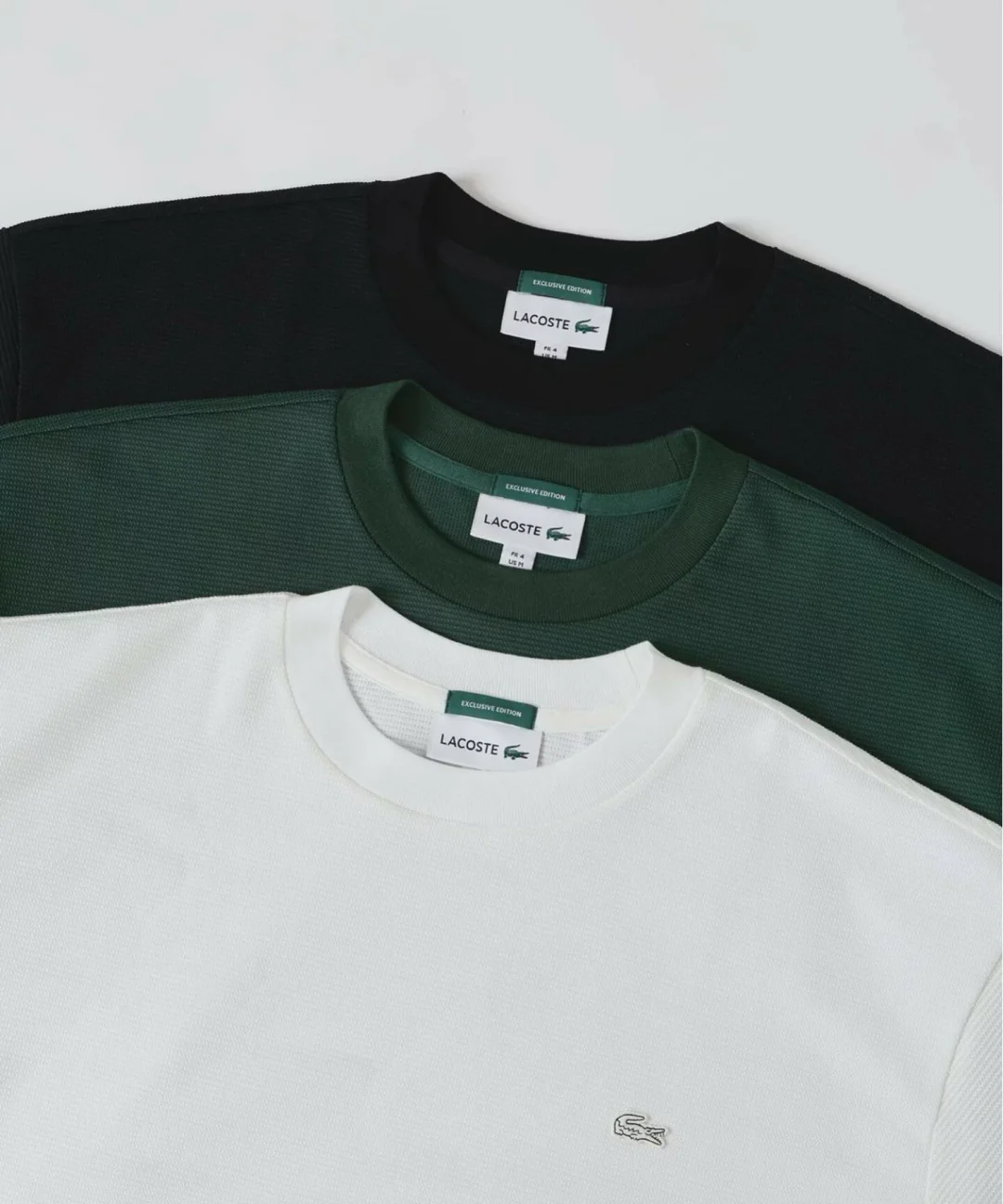 EDIFICE × LACOSTE 2026 SS 別注 ニット Tシャツが5月中旬 発売 (エディフィス ラコステ)