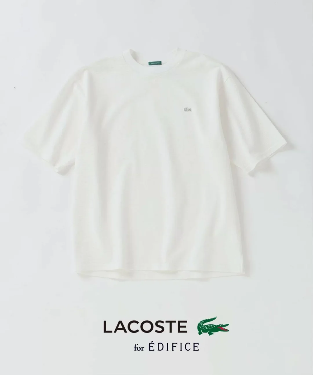 EDIFICE × LACOSTE 2026 SS 別注 ニット Tシャツが5月中旬 発売 (エディフィス ラコステ)