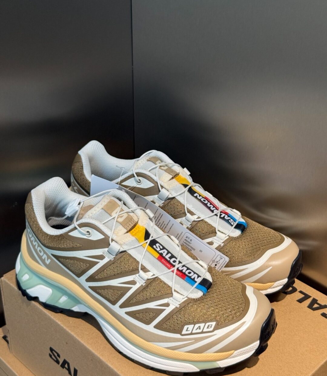 【2026年 2/20 発売】Salomon XT-6 “Coyote Brown/Safari/Sahara Sun” (サロモン) [L49205700]