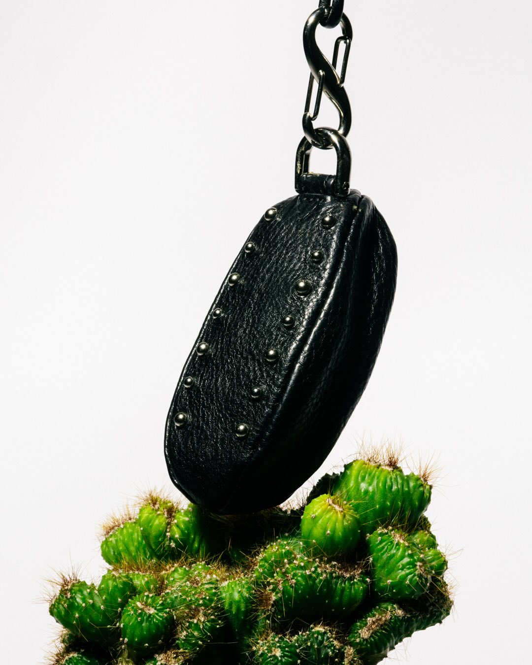 HAAL × BEAMS “Leather Accessories Collection”が2026年 2/18 発売 (ビームス ハール “レザー アクセサリー コレクション”)