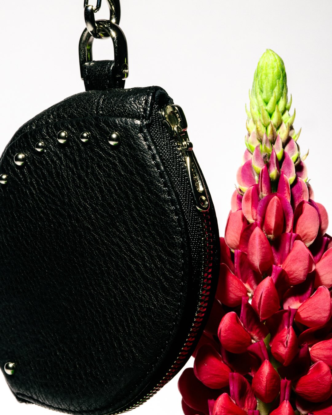 HAAL × BEAMS “Leather Accessories Collection”が2026年 2/18 発売 (ビームス ハール “レザー アクセサリー コレクション”)