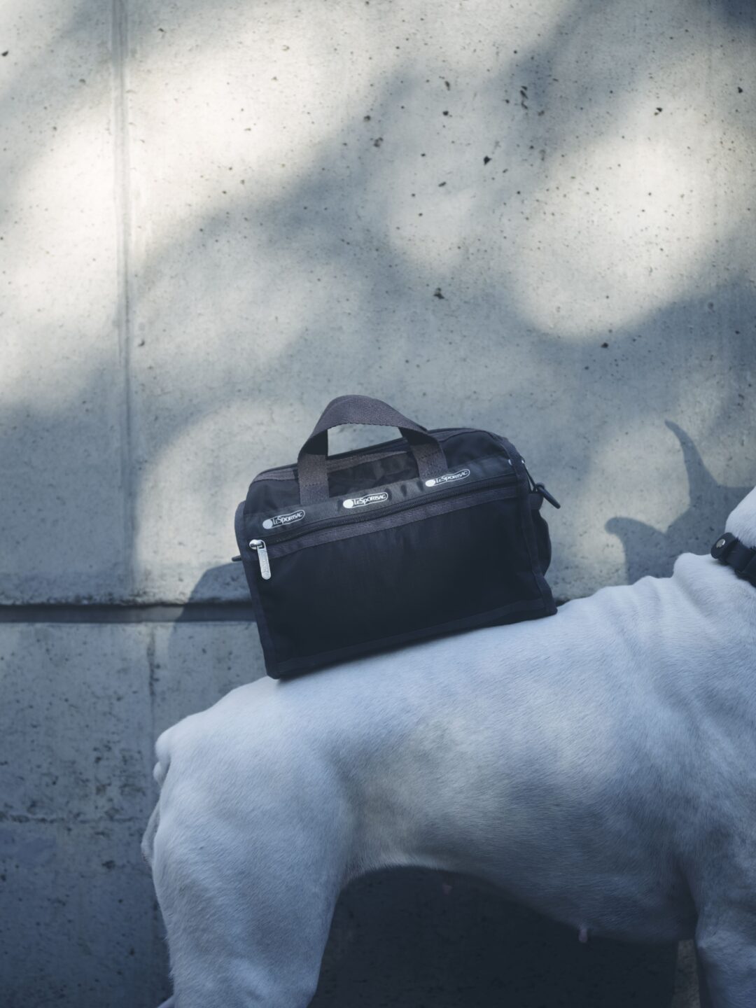 LeSportsac × ADAM ET ROPE’ 2026 SS コラボアイテムが4/10 発売 (レスポートサック アダム エ ロぺ)