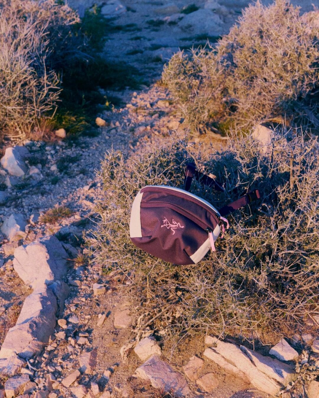 ARC’TERYX × BEAMS BOY 2026 SS “Cosmic Bloom Collection”が3/21 発売 (アークテリクス ビームス ボーイ)