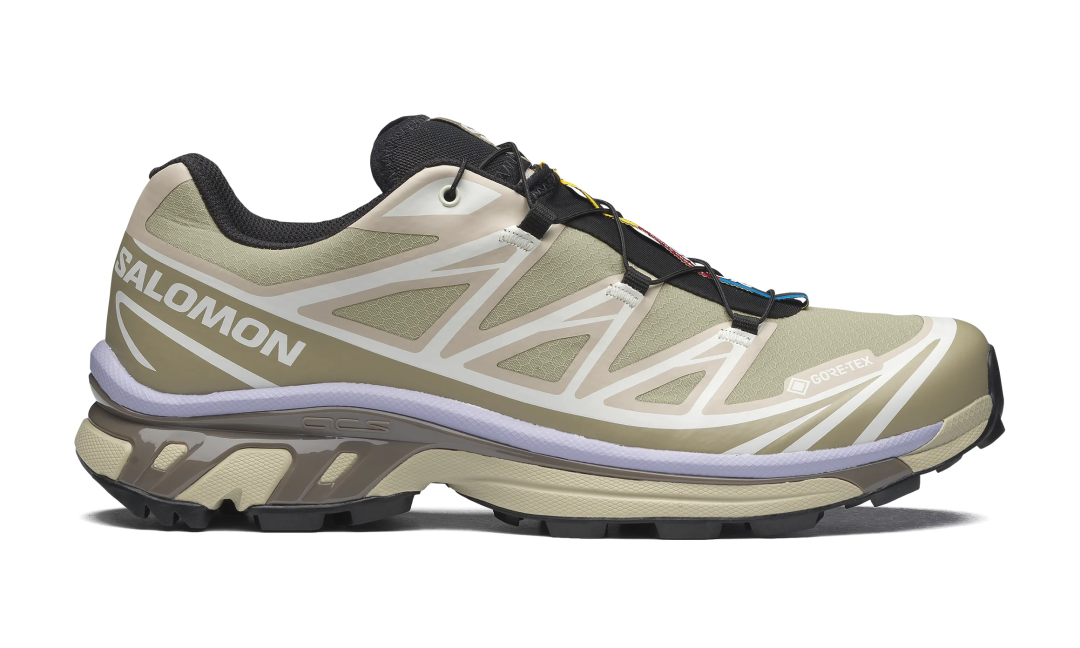【2026年 3/11 発売】Salomon XT-6 GORE-TEX GTX “Eucalyptus/Silver Sage” (サロモン ゴアテックス) [L49202300]