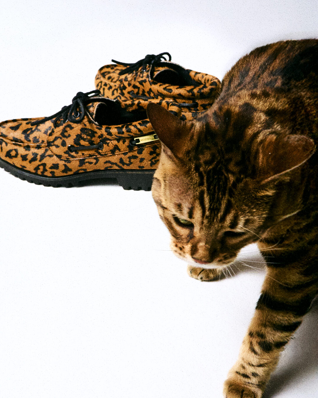 WACKO MARIA × Timberland 2026 SS コラボが3/28 発売 (ワコマリア ティンバーランド 2026年 春夏)