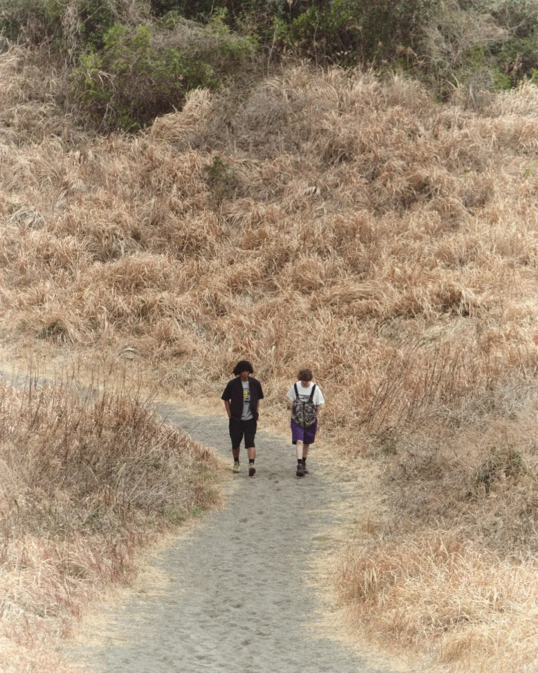 Dickies × GRIP SWANY 2026 SS コラボショーツが4/24 発売 (ディッキーズ グリップスワニー)