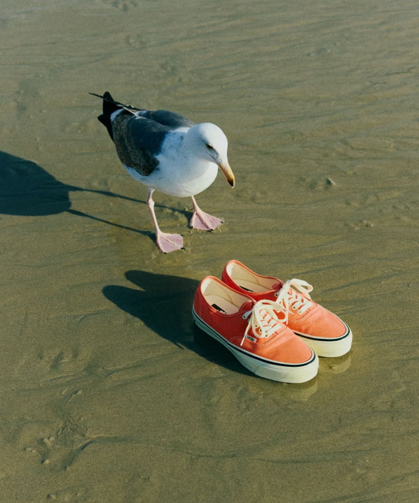 【2026年 5/1 発売】BEAMS BOY EXCLUSIVE AUTHENTIC “Orange” (ビームスボーイ バンズ オーセンティック “オレンジ”)