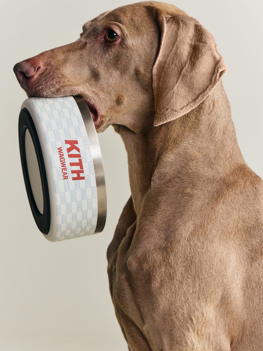 【Kith for wagwear】MONDAY PROGRAMが2026年 4/27 発売 (キス ワグウェア)
