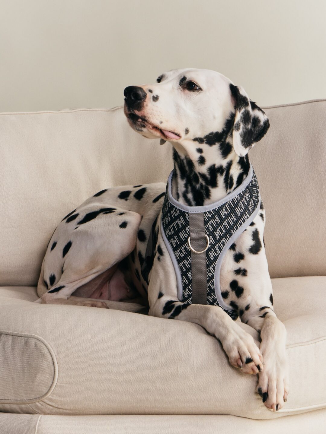 【Kith for wagwear】MONDAY PROGRAMが2026年 4/27 発売 (キス ワグウェア)