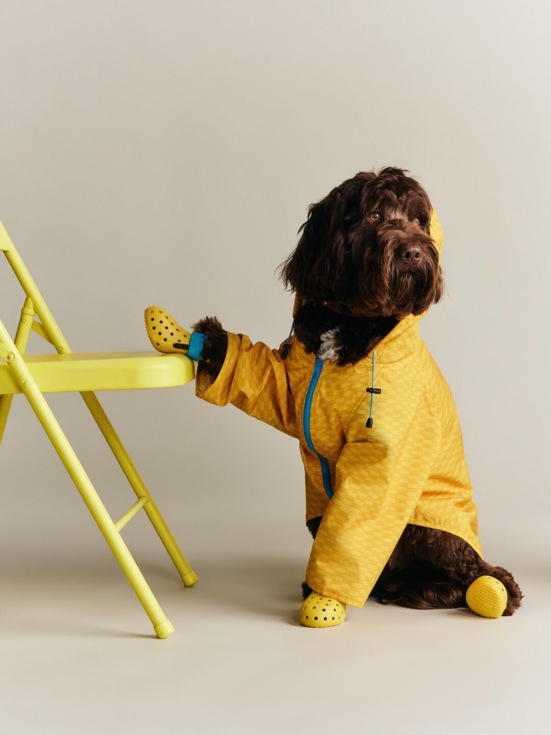 【Kith for wagwear】MONDAY PROGRAMが2026年 4/27 発売 (キス ワグウェア)
