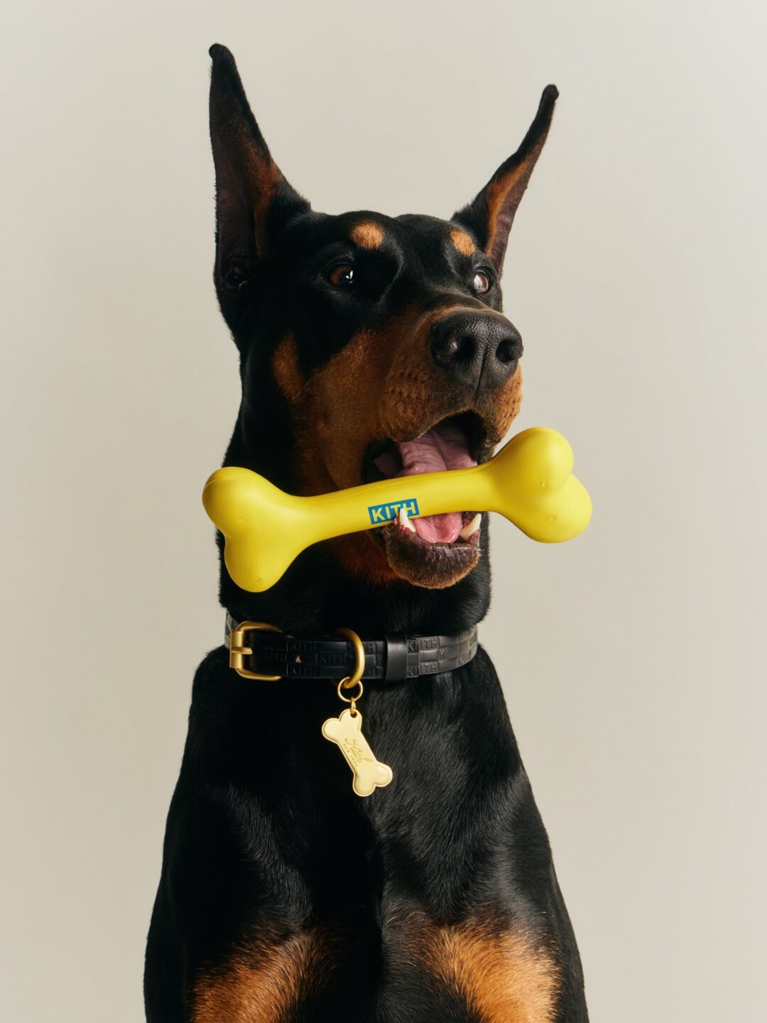 【Kith for wagwear】MONDAY PROGRAMが2026年 4/27 発売 (キス ワグウェア)
