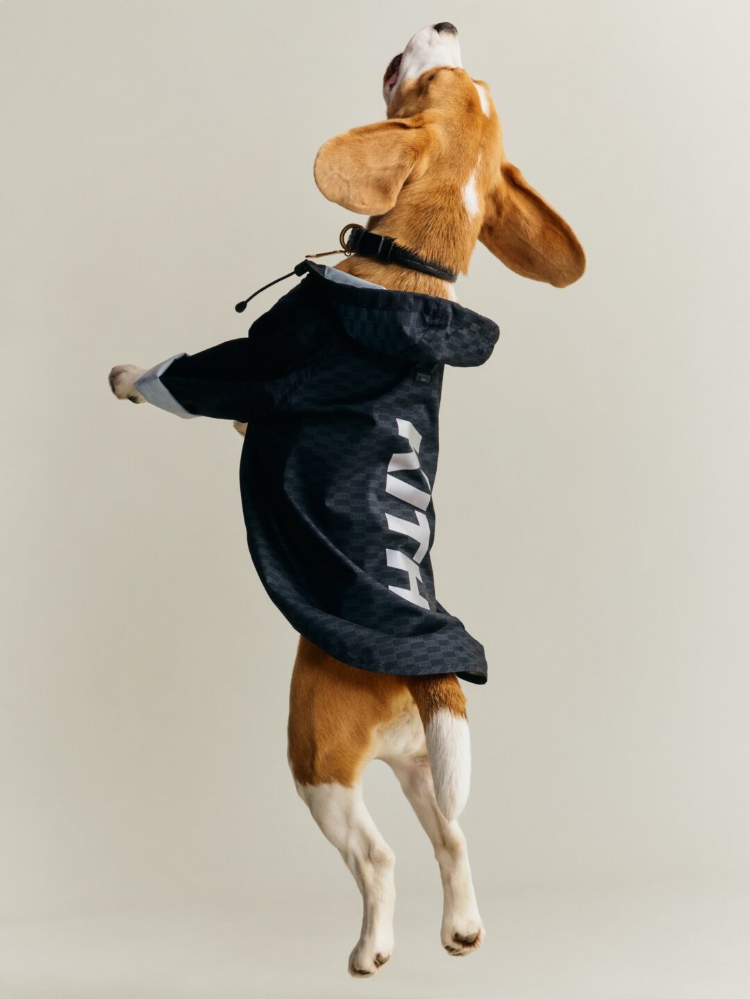 【Kith for wagwear】MONDAY PROGRAMが2026年 4/27 発売 (キス ワグウェア)