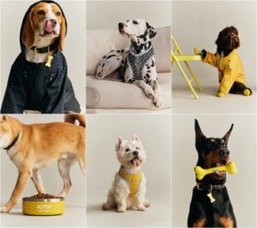 【Kith for wagwear】MONDAY PROGRAMが2026年 4/27 発売 (キス ワグウェア)