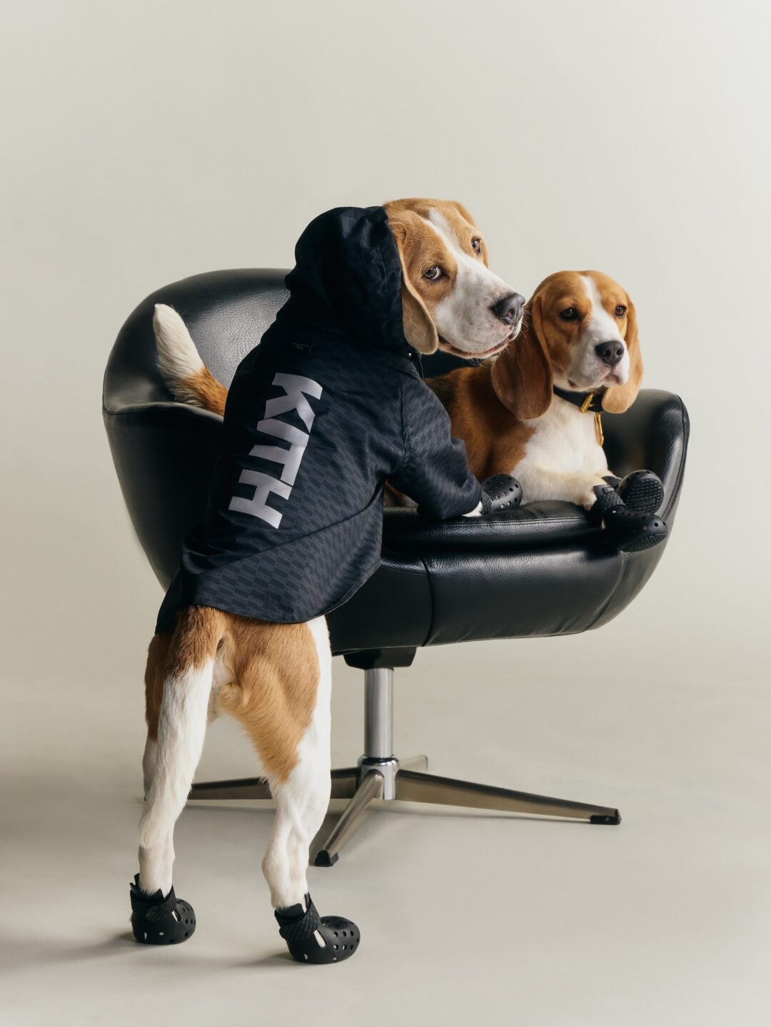 【Kith for wagwear】MONDAY PROGRAMが2026年 4/27 発売 (キス ワグウェア)