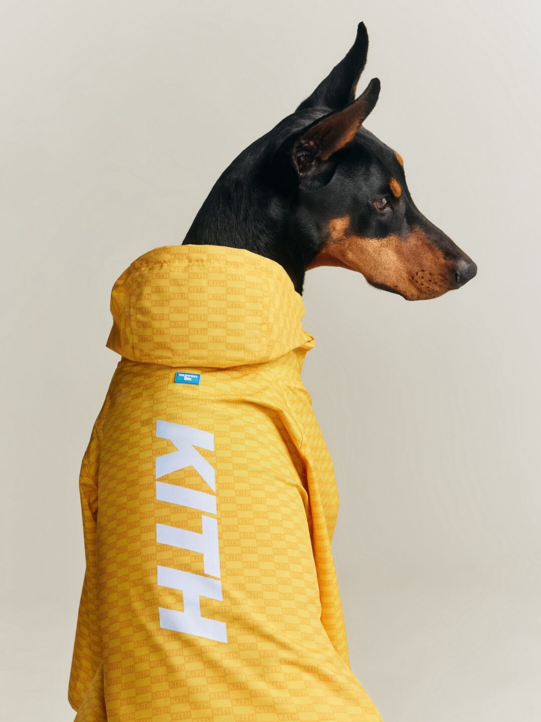【Kith for wagwear】MONDAY PROGRAMが2026年 4/27 発売 (キス ワグウェア)