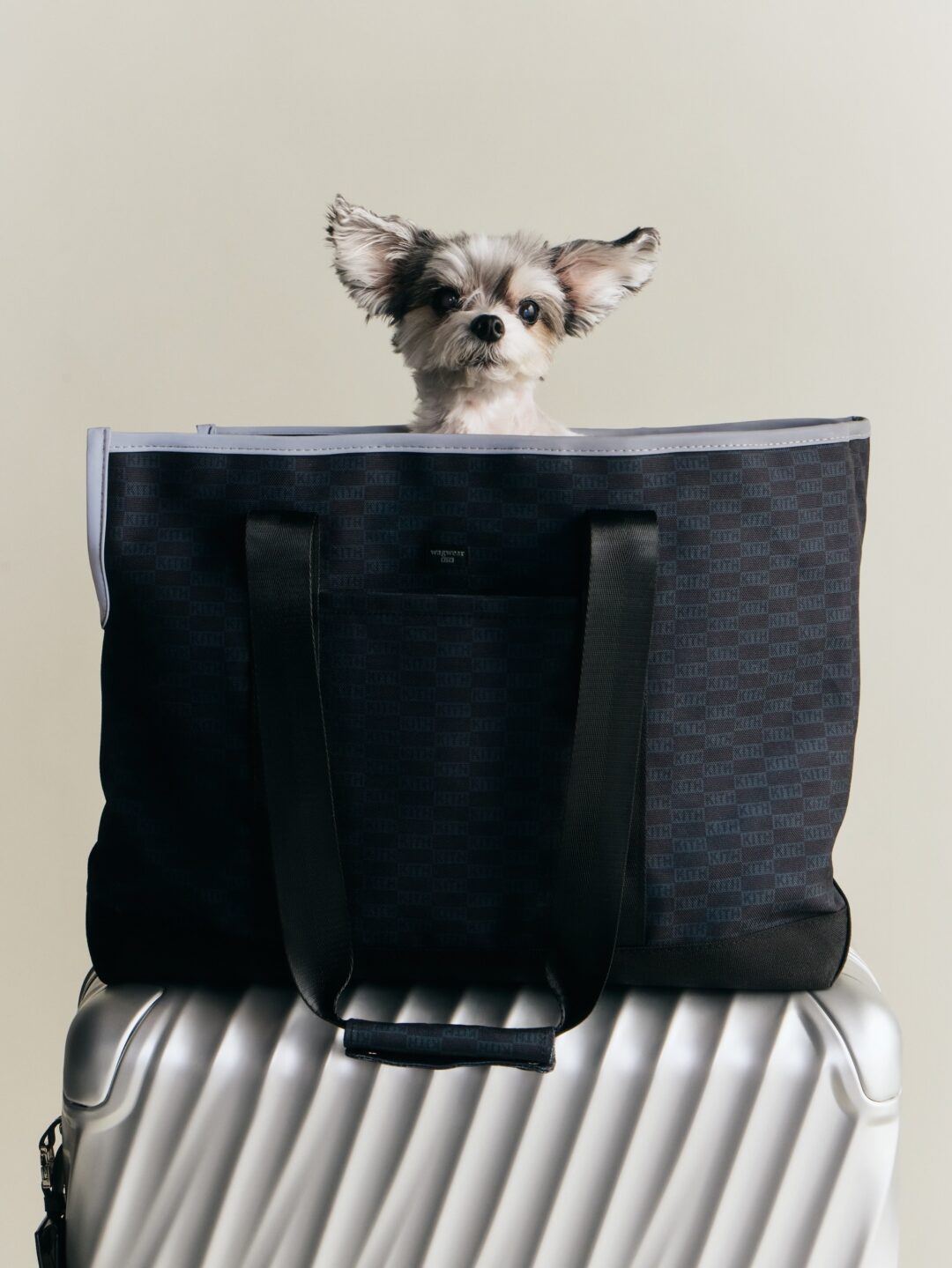 【Kith for wagwear】MONDAY PROGRAMが2026年 4/27 発売 (キス ワグウェア)