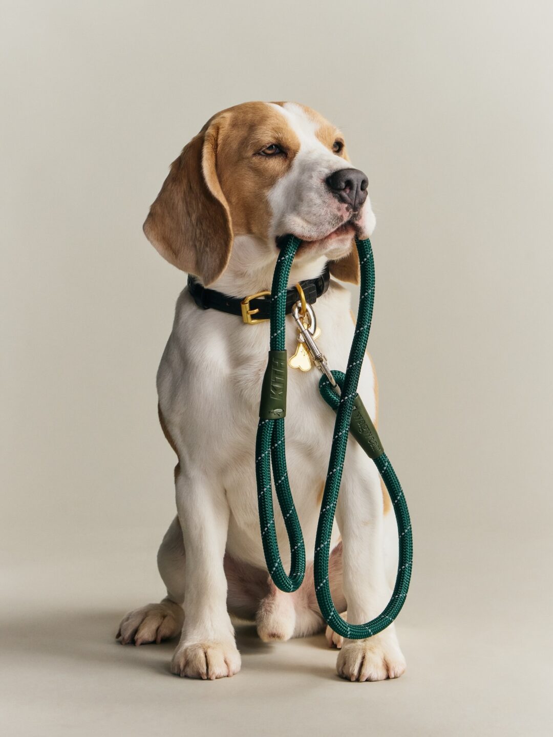 【Kith for wagwear】MONDAY PROGRAMが2026年 4/27 発売 (キス ワグウェア)