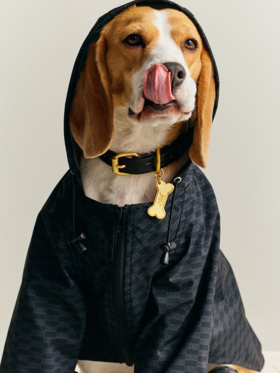【Kith for wagwear】MONDAY PROGRAMが2026年 4/27 発売 (キス ワグウェア)