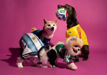 adidas Originals “Dog Soccer Jerseys 2026 FIFA World Cup”が2026年 5/1 発売 (アディダス オリジナルス “ドッグ サッカー ジャージ ワールドカップ”)