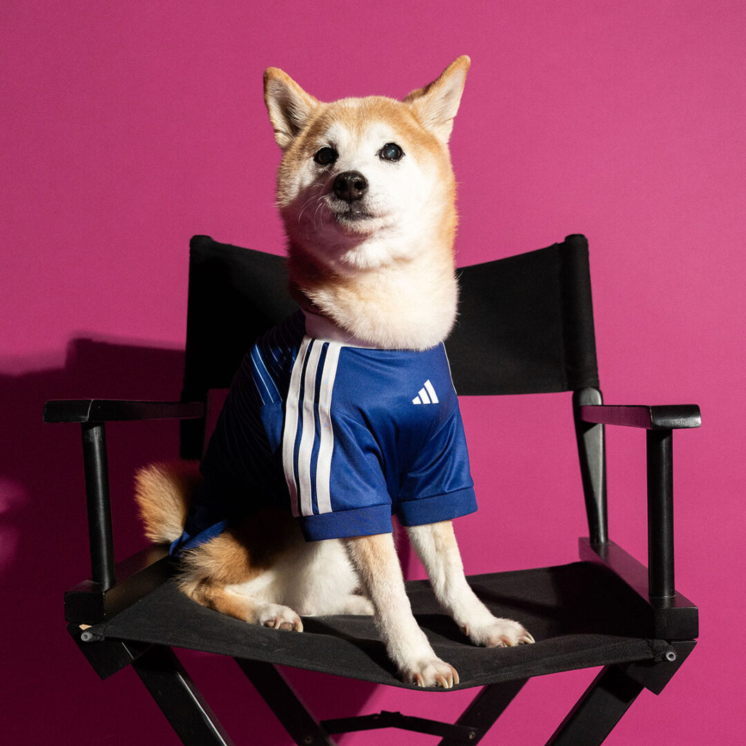 adidas Originals “Dog Soccer Jerseys 2026 FIFA World Cup”が2026年 5/1 発売 (アディダス オリジナルス “ドッグ サッカー ジャージ ワールドカップ”) [KY5155]