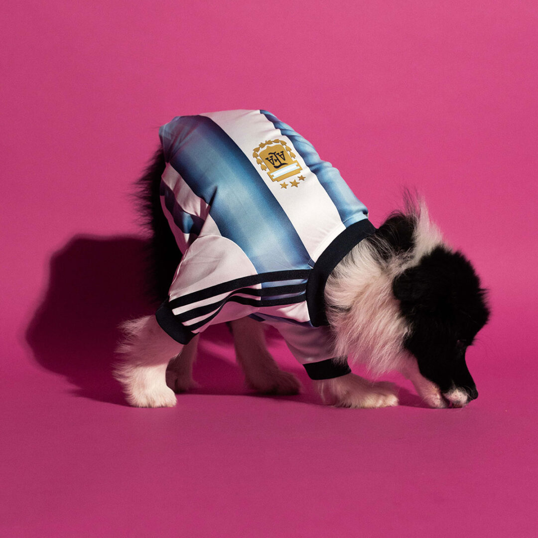 adidas Originals “Dog Soccer Jerseys 2026 FIFA World Cup”が2026年 5/1 発売 (アディダス オリジナルス “ドッグ サッカー ジャージ ワールドカップ”) [KY5155]