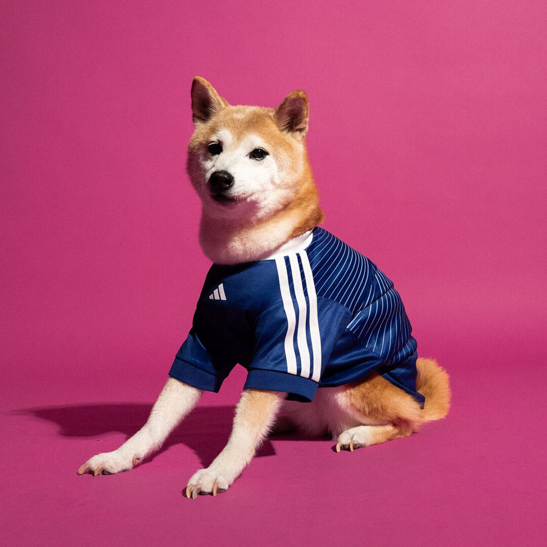 adidas Originals “Dog Soccer Jerseys 2026 FIFA World Cup”が2026年 5/1 発売 (アディダス オリジナルス “ドッグ サッカー ジャージ ワールドカップ”) [KY5155]