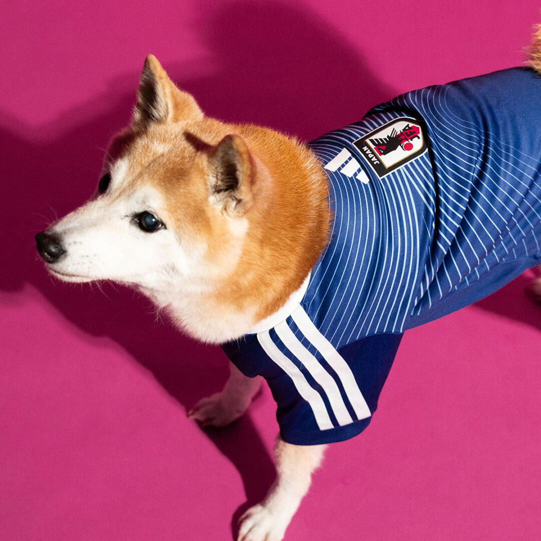 adidas Originals “Dog Soccer Jerseys 2026 FIFA World Cup”が2026年 5/1 発売 (アディダス オリジナルス “ドッグ サッカー ジャージ ワールドカップ”) [KY5155]