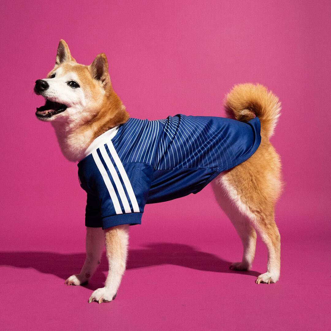 adidas Originals “Dog Soccer Jerseys 2026 FIFA World Cup”が2026年 5/1 発売 (アディダス オリジナルス “ドッグ サッカー ジャージ ワールドカップ”) [KY5155]