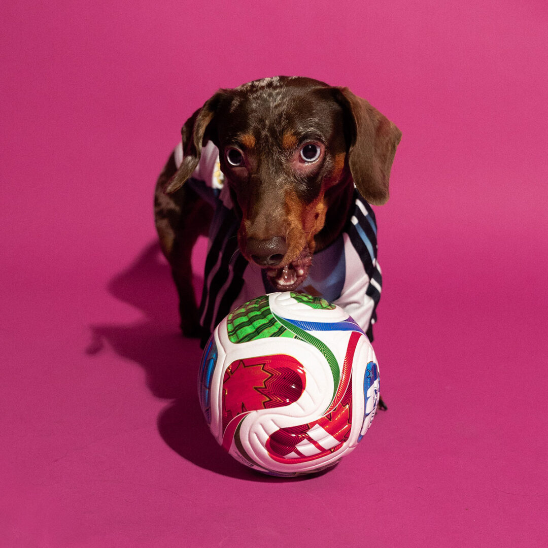 adidas Originals “Dog Soccer Jerseys 2026 FIFA World Cup”が2026年 5/1 発売 (アディダス オリジナルス “ドッグ サッカー ジャージ ワールドカップ”) [KY5155]