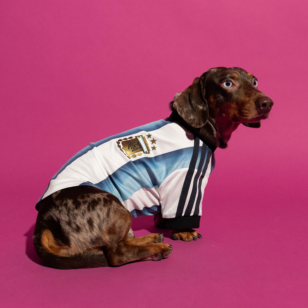 adidas Originals “Dog Soccer Jerseys 2026 FIFA World Cup”が2026年 5/1 発売 (アディダス オリジナルス “ドッグ サッカー ジャージ ワールドカップ”) [KY5155]