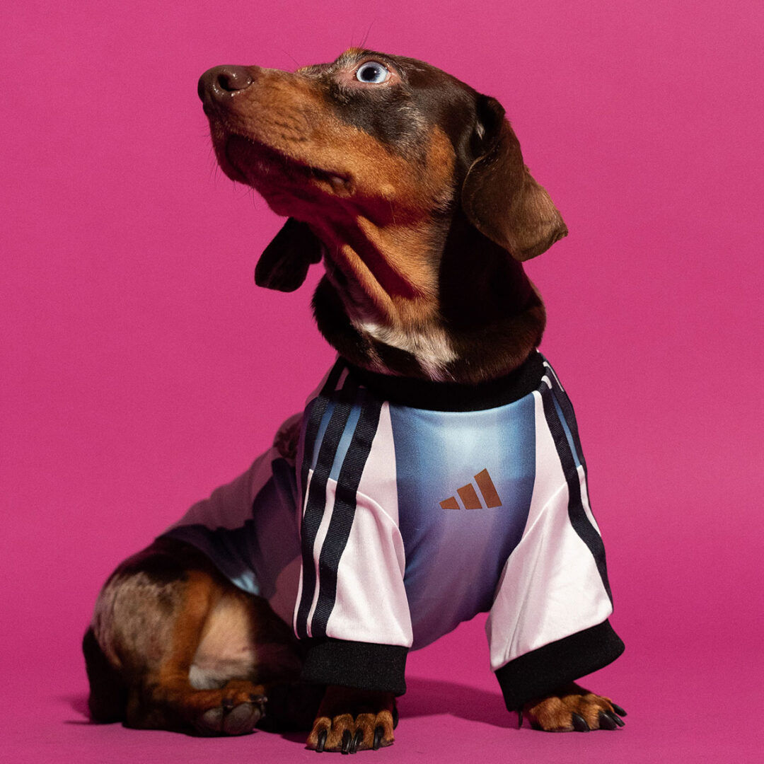adidas Originals “Dog Soccer Jerseys 2026 FIFA World Cup”が2026年 5/1 発売 (アディダス オリジナルス “ドッグ サッカー ジャージ ワールドカップ”) [KY5155]