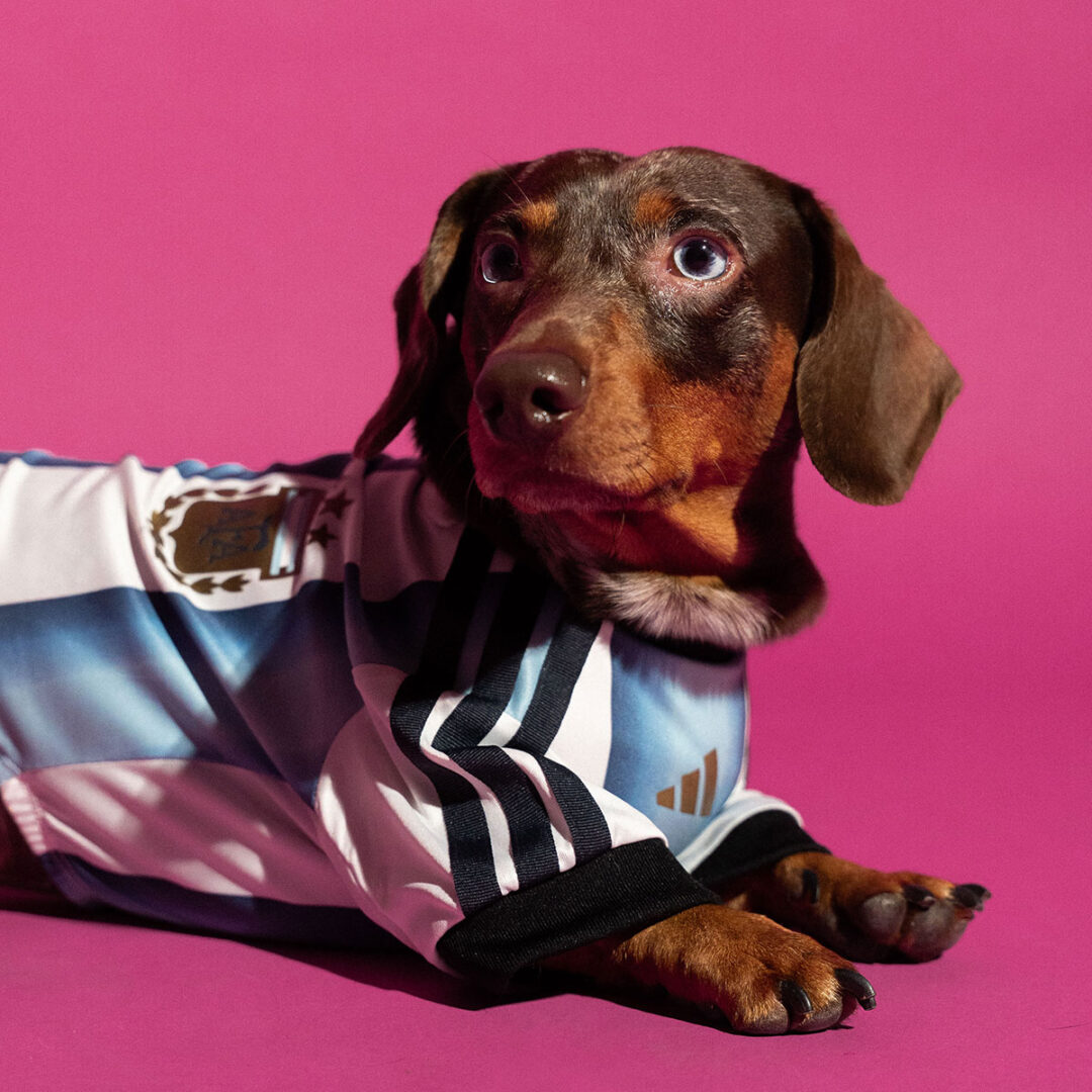 adidas Originals “Dog Soccer Jerseys 2026 FIFA World Cup”が2026年 5/1 発売 (アディダス オリジナルス “ドッグ サッカー ジャージ ワールドカップ”) [KY5155]
