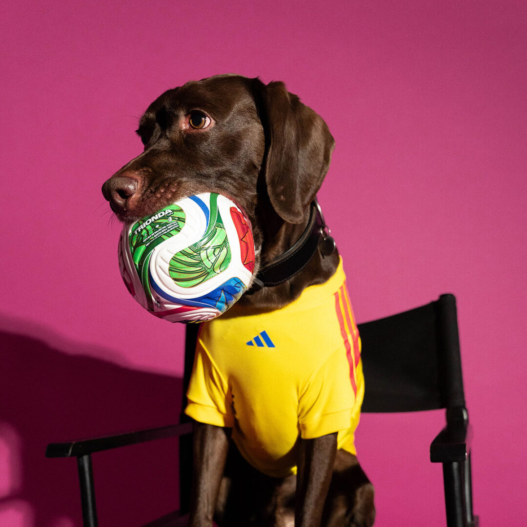 adidas Originals “Dog Soccer Jerseys 2026 FIFA World Cup”が2026年 5/1 発売 (アディダス オリジナルス “ドッグ サッカー ジャージ ワールドカップ”) [KY5155]