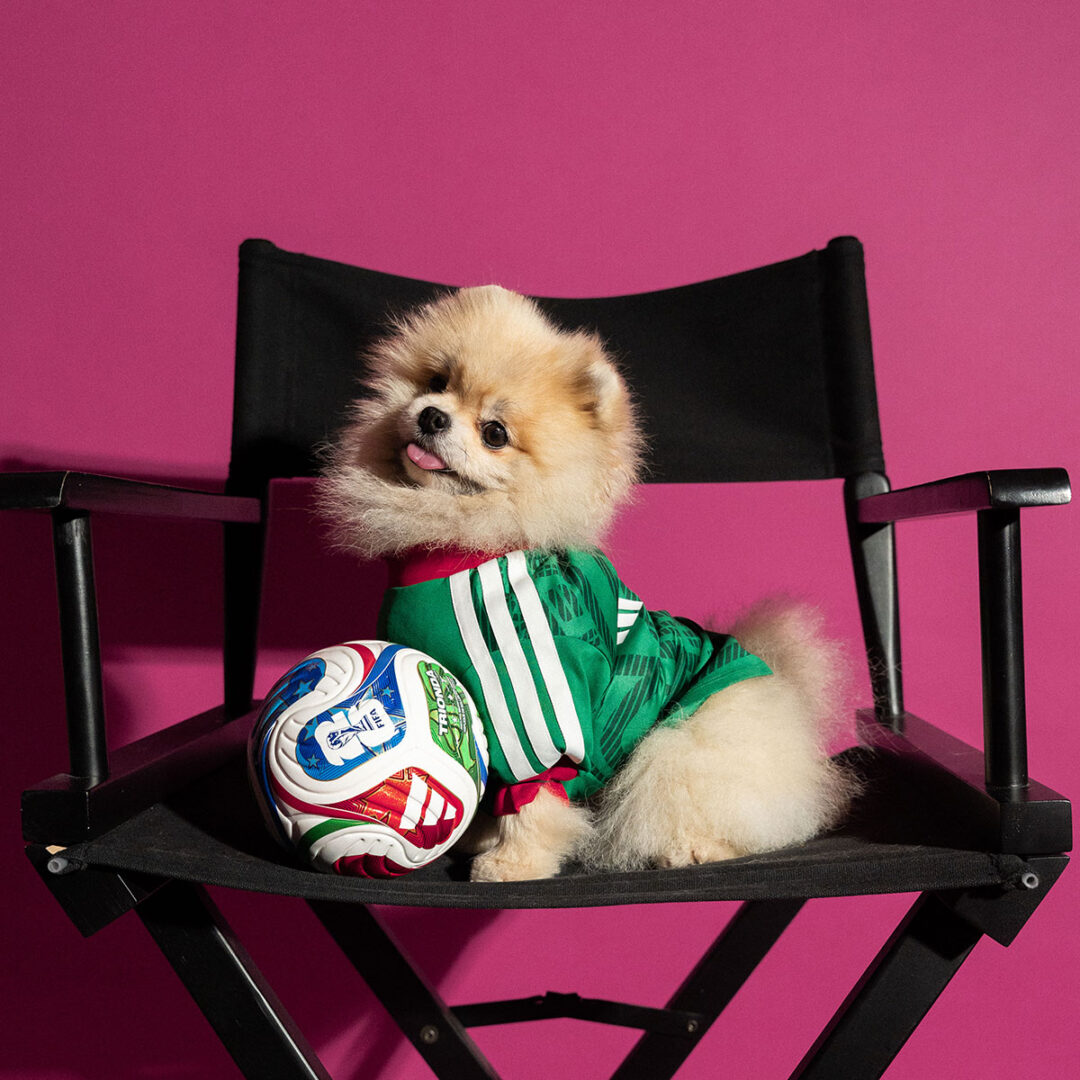 adidas Originals “Dog Soccer Jerseys 2026 FIFA World Cup”が2026年 5/1 発売 (アディダス オリジナルス “ドッグ サッカー ジャージ ワールドカップ”) [KY5155]