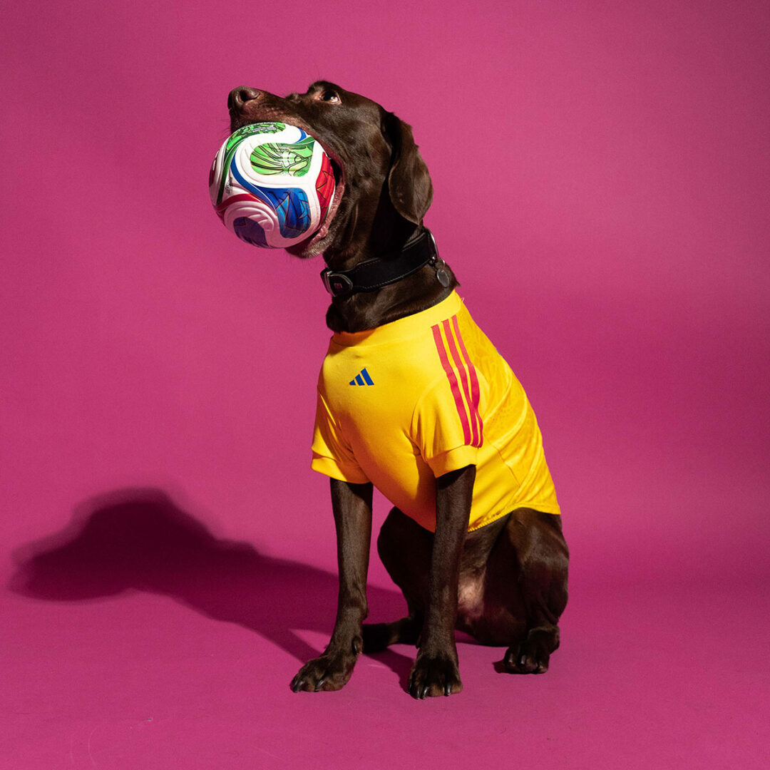 adidas Originals “Dog Soccer Jerseys 2026 FIFA World Cup”が2026年 5/1 発売 (アディダス オリジナルス “ドッグ サッカー ジャージ ワールドカップ”) [KY5155]