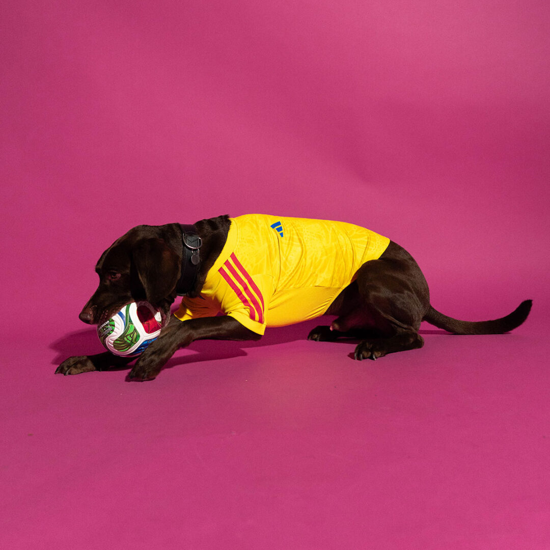 adidas Originals “Dog Soccer Jerseys 2026 FIFA World Cup”が2026年 5/1 発売 (アディダス オリジナルス “ドッグ サッカー ジャージ ワールドカップ”) [KY5155]