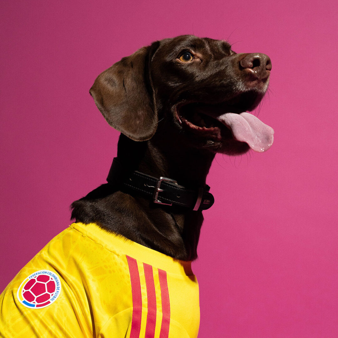 adidas Originals “Dog Soccer Jerseys 2026 FIFA World Cup”が2026年 5/1 発売 (アディダス オリジナルス “ドッグ サッカー ジャージ ワールドカップ”) [KY5155]