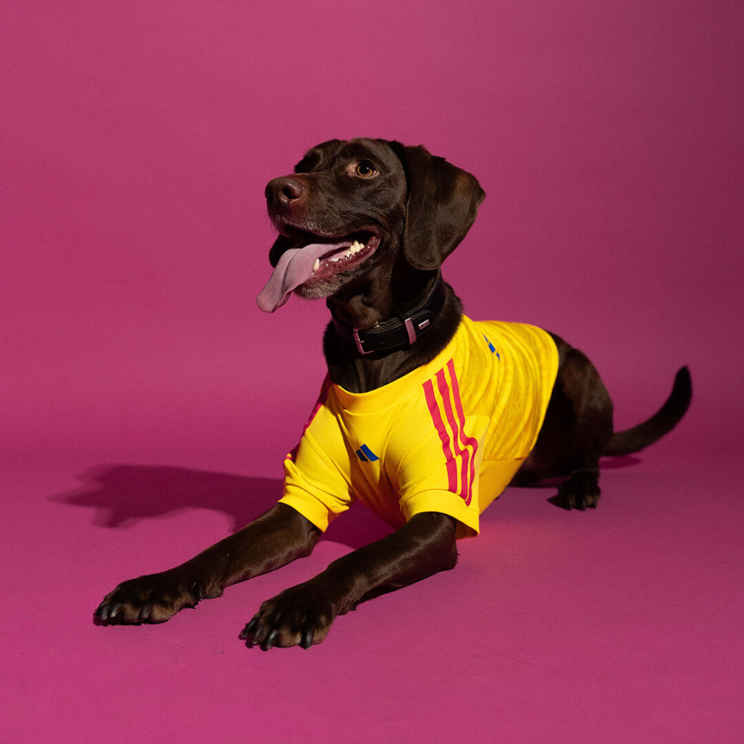 adidas Originals “Dog Soccer Jerseys 2026 FIFA World Cup”が2026年 5/1 発売 (アディダス オリジナルス “ドッグ サッカー ジャージ ワールドカップ”) [KY5155]