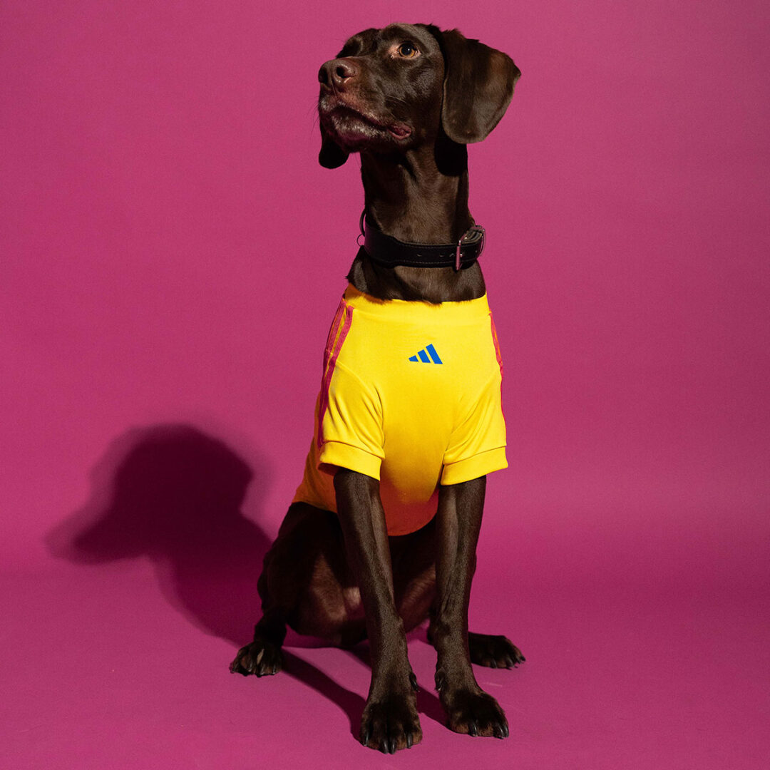 adidas Originals “Dog Soccer Jerseys 2026 FIFA World Cup”が2026年 5/1 発売 (アディダス オリジナルス “ドッグ サッカー ジャージ ワールドカップ”) [KY5155]