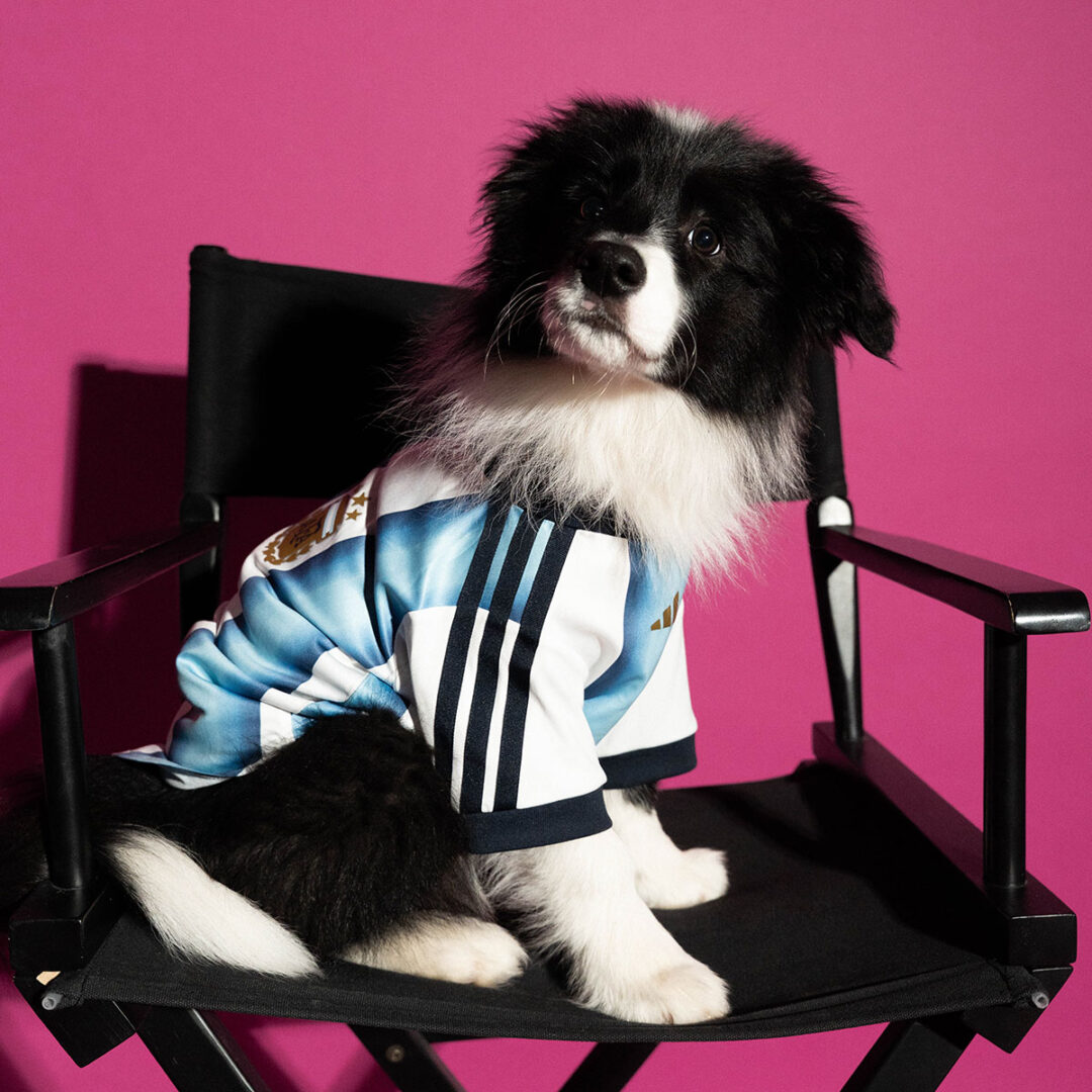 adidas Originals “Dog Soccer Jerseys 2026 FIFA World Cup”が2026年 5/1 発売 (アディダス オリジナルス “ドッグ サッカー ジャージ ワールドカップ”) [KY5155]