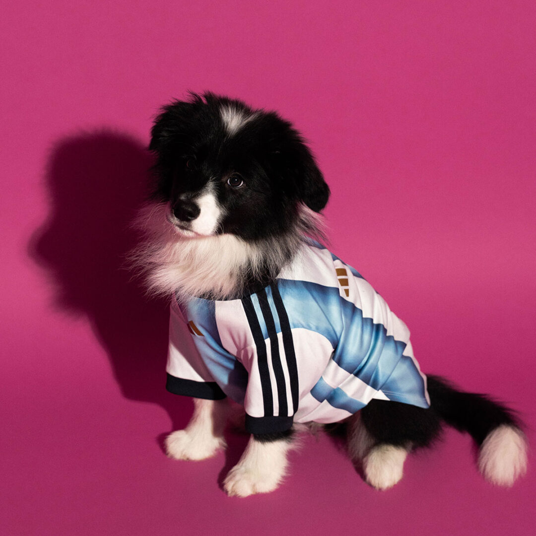 adidas Originals “Dog Soccer Jerseys 2026 FIFA World Cup”が2026年 5/1 発売 (アディダス オリジナルス “ドッグ サッカー ジャージ ワールドカップ”) [KY5155]