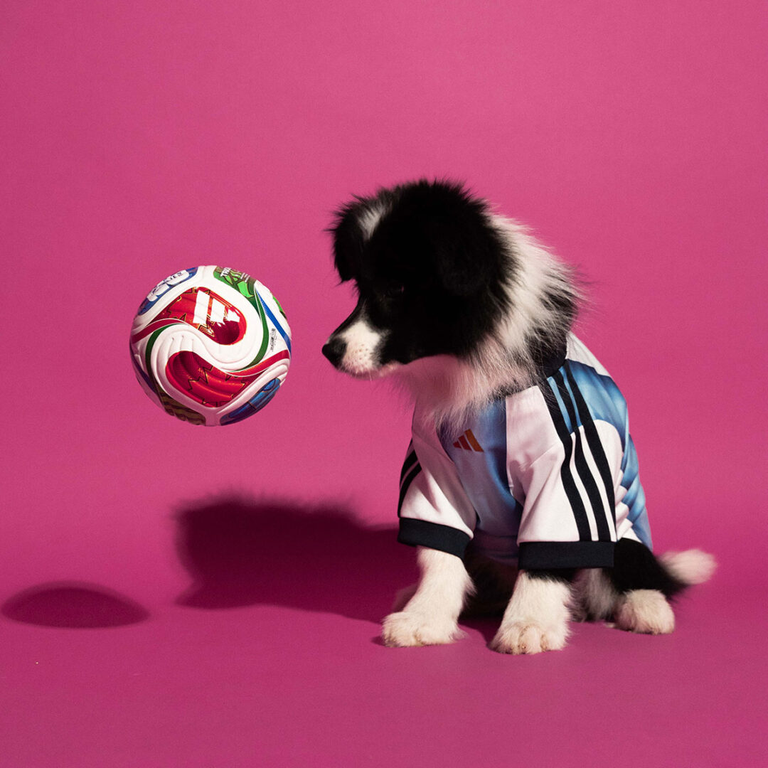 adidas Originals “Dog Soccer Jerseys 2026 FIFA World Cup”が2026年 5/1 発売 (アディダス オリジナルス “ドッグ サッカー ジャージ ワールドカップ”) [KY5155]