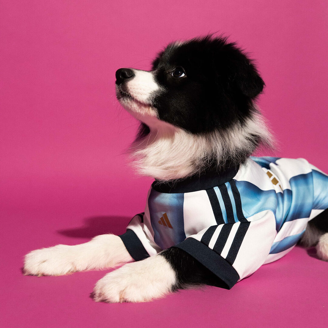 adidas Originals “Dog Soccer Jerseys 2026 FIFA World Cup”が2026年 5/1 発売 (アディダス オリジナルス “ドッグ サッカー ジャージ ワールドカップ”) [KY5155]