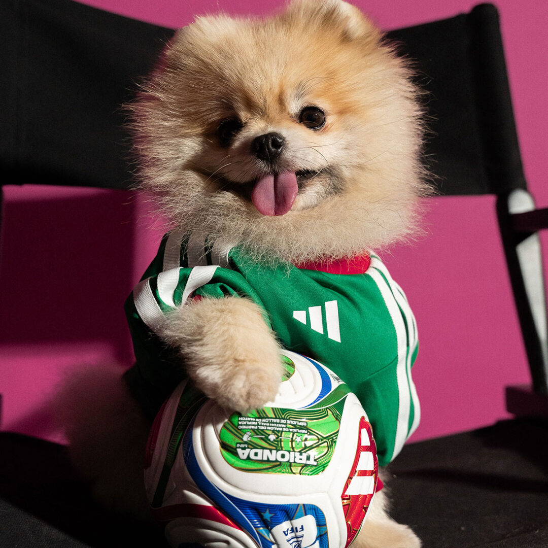adidas Originals “Dog Soccer Jerseys 2026 FIFA World Cup”が2026年 5/1 発売 (アディダス オリジナルス “ドッグ サッカー ジャージ ワールドカップ”) [KY5155]