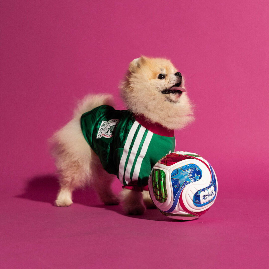 adidas Originals “Dog Soccer Jerseys 2026 FIFA World Cup”が2026年 5/1 発売 (アディダス オリジナルス “ドッグ サッカー ジャージ ワールドカップ”) [KY5155]