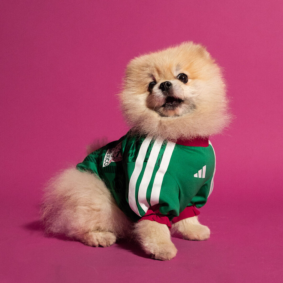 adidas Originals “Dog Soccer Jerseys 2026 FIFA World Cup”が2026年 5/1 発売 (アディダス オリジナルス “ドッグ サッカー ジャージ ワールドカップ”) [KY5155]