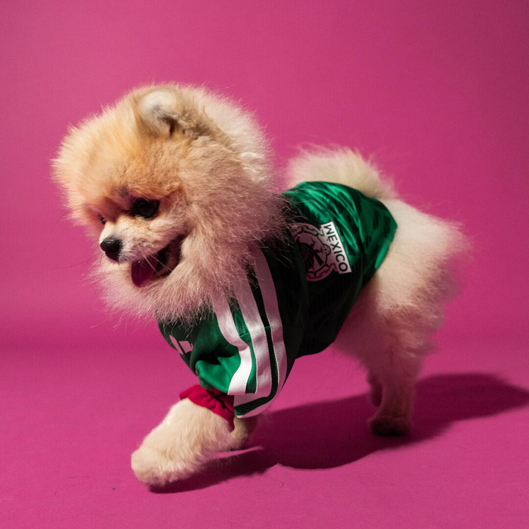 adidas Originals “Dog Soccer Jerseys 2026 FIFA World Cup”が2026年 5/1 発売 (アディダス オリジナルス “ドッグ サッカー ジャージ ワールドカップ”) [KY5155]