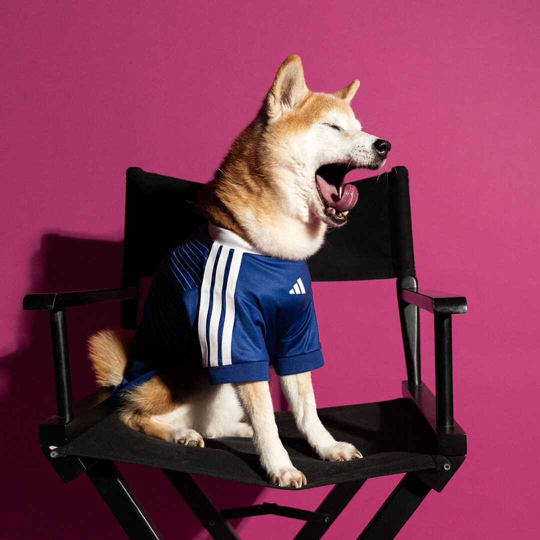adidas Originals “Dog Soccer Jerseys 2026 FIFA World Cup”が2026年 5/1 発売 (アディダス オリジナルス “ドッグ サッカー ジャージ ワールドカップ”) [KY5155]